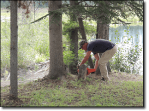Darrel-cleaning-up-after-the-resident-Beaver-