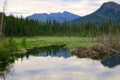 toad-river-reflection-lake